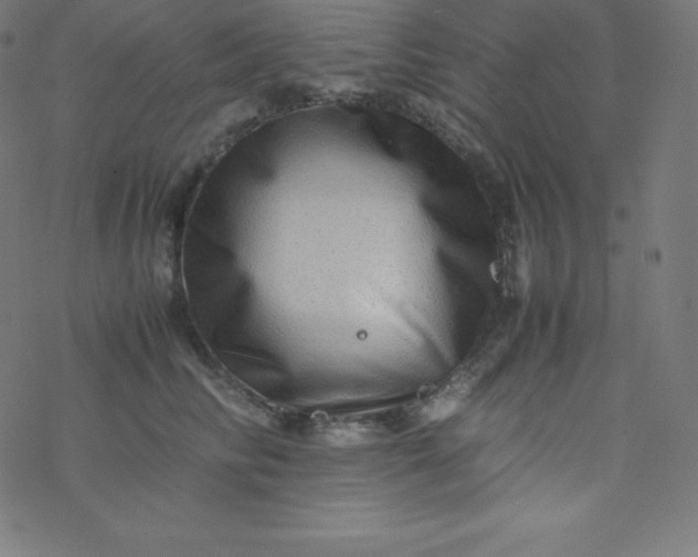 X0000077380710200611031936