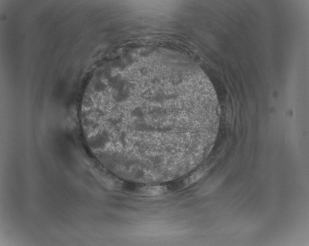 X0000077380711200611031936