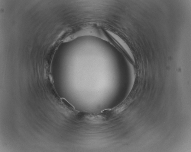 X0000077380712200611031936