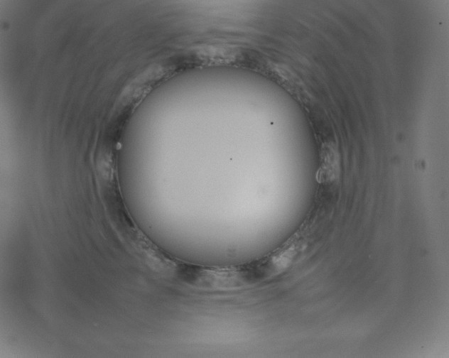 X0000077380713200611031936