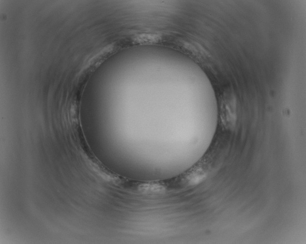 X0000077380714200611031936