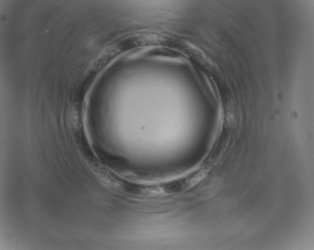 X0000077380715200611031936