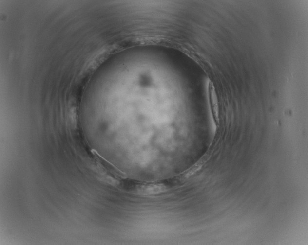 X0000077380716200611031936