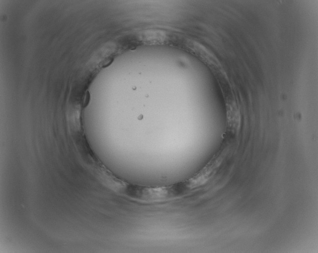 X0000077380717200611031936