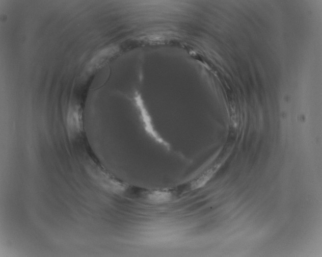 X0000077380718200611031936