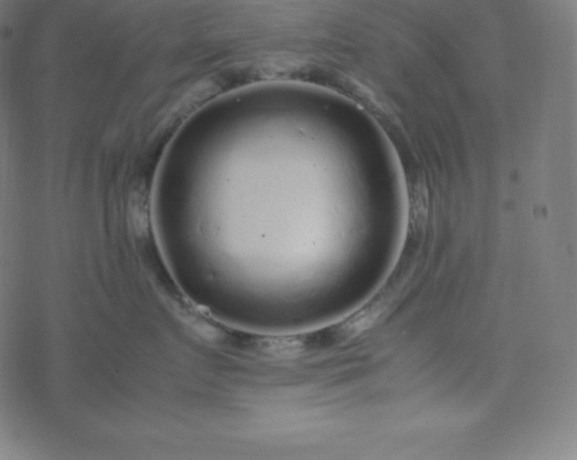 X0000077380719200611031936