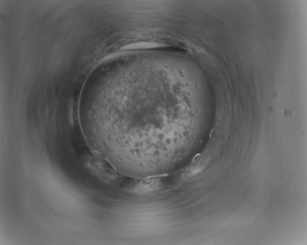 X0000077380720200611031936