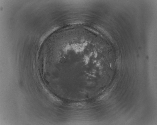 X0000077380721200611031935