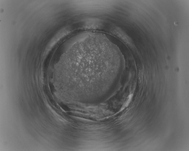 X0000077380722200611031935