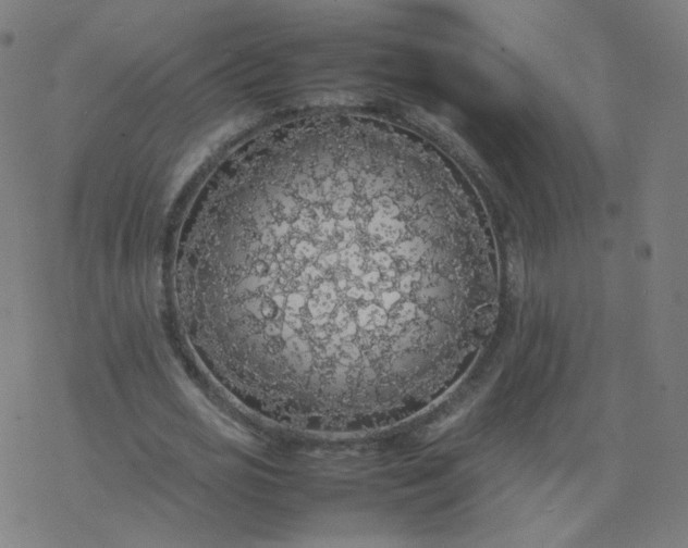 X0000077380725200611031936