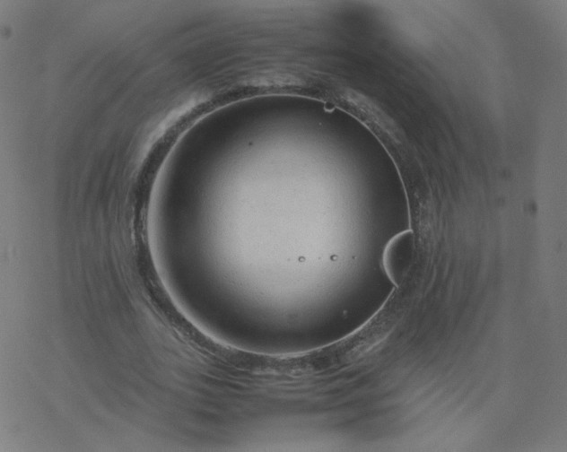 X0000077380727200611031936