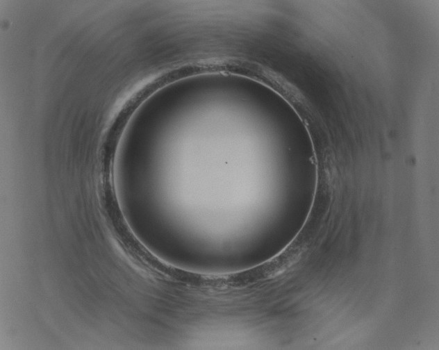 X0000077380728200611031936