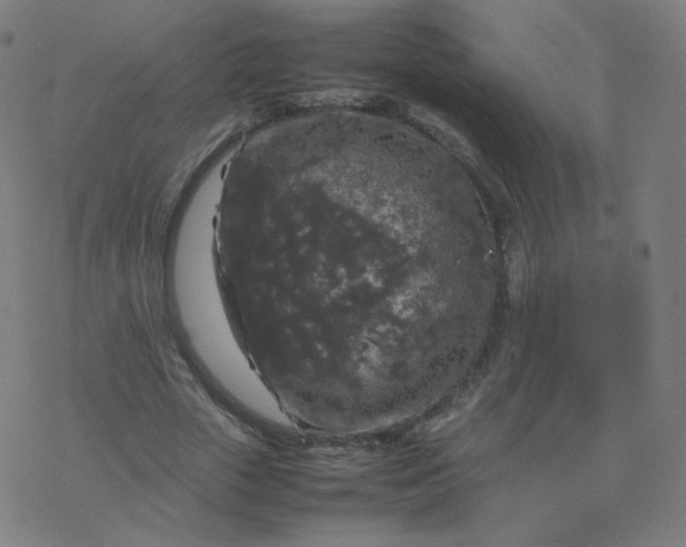 X0000077380729200611031936