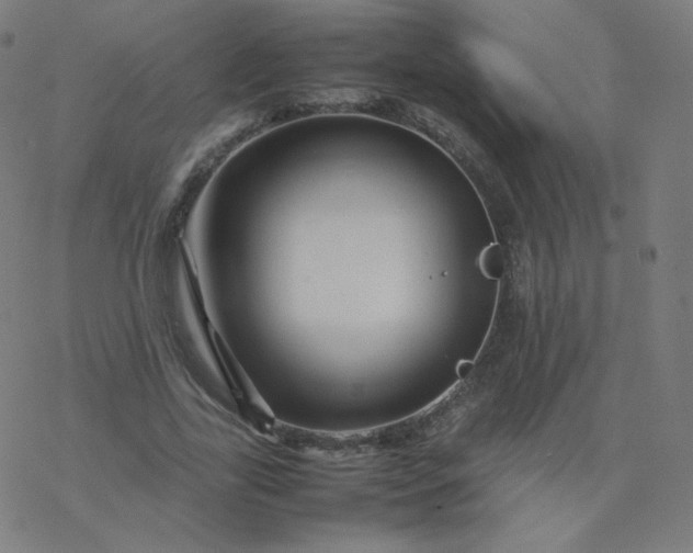 X0000077380731200611031936