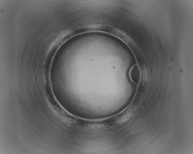 X0000077380734200611031936