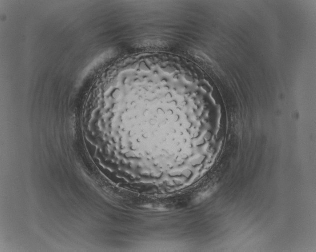 X0000077380735200611031936