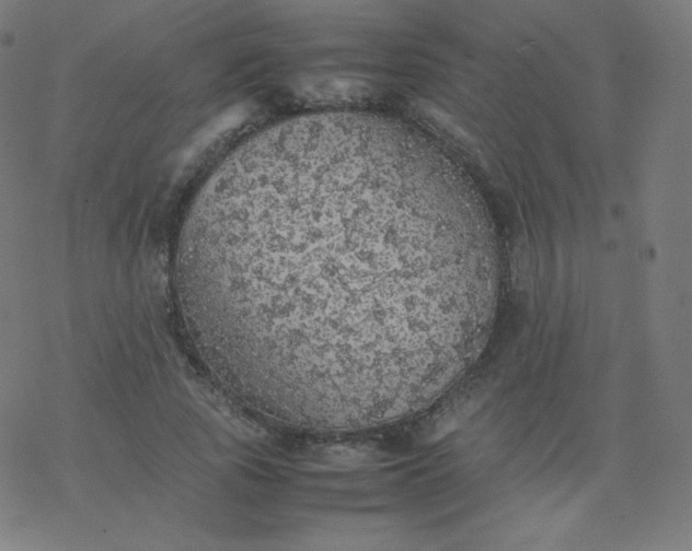 X0000077380737200611031936