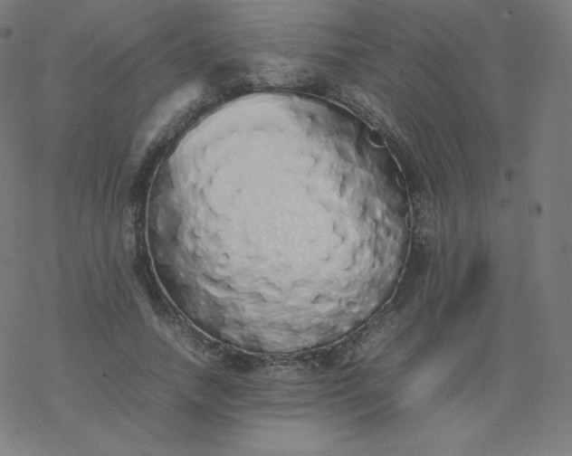 X0000077380738200611031936