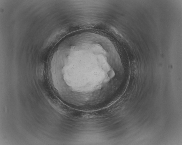 X0000077380742200611031936