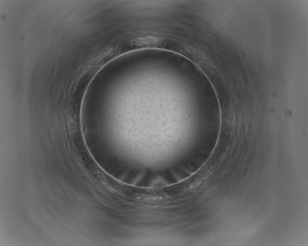 X0000077380743200611031936