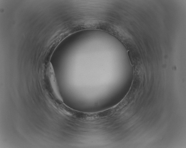 X0000077380744200611031936