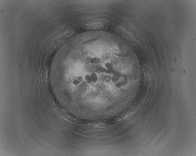 X0000077380745200611031936