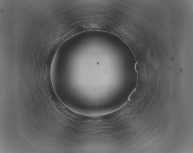 X0000077380747200611031936