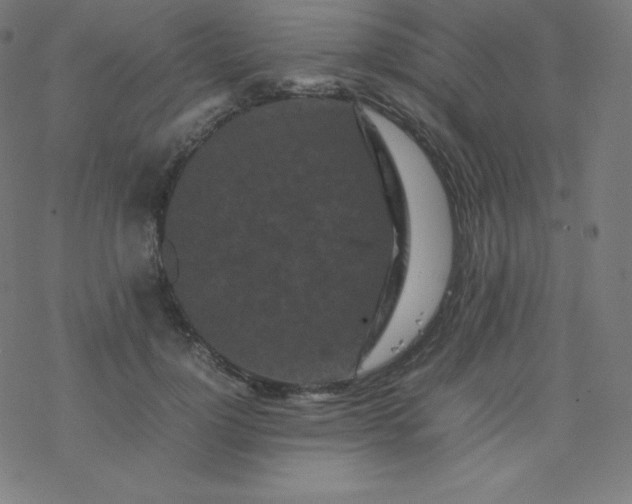 X0000077380748200611031936