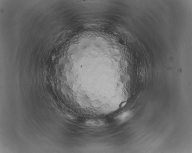 X0000077380749200611031936