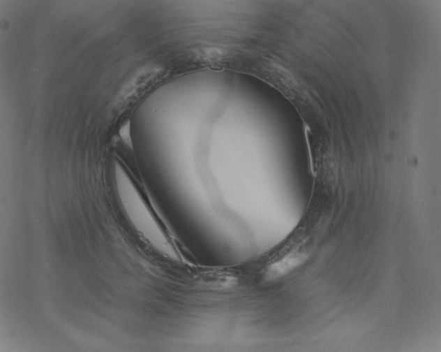 X0000077380750200611031936