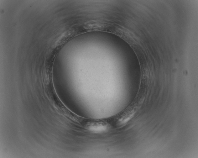 X0000077380751200611031936