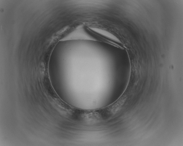 X0000077380752200611031936