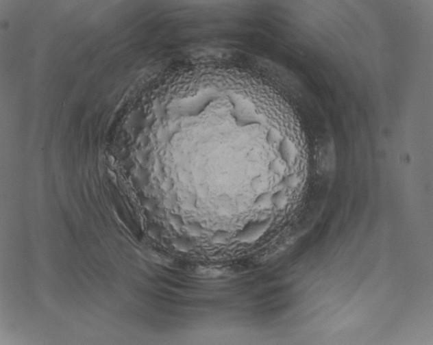 X0000077380753200611031936