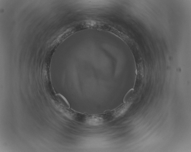 X0000077380754200611031936