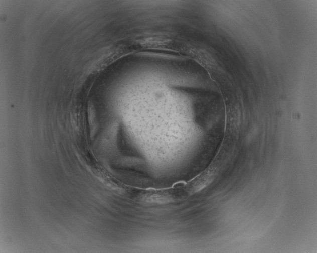 X0000077380755200611031936