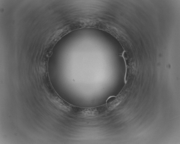 X0000077380756200611031936