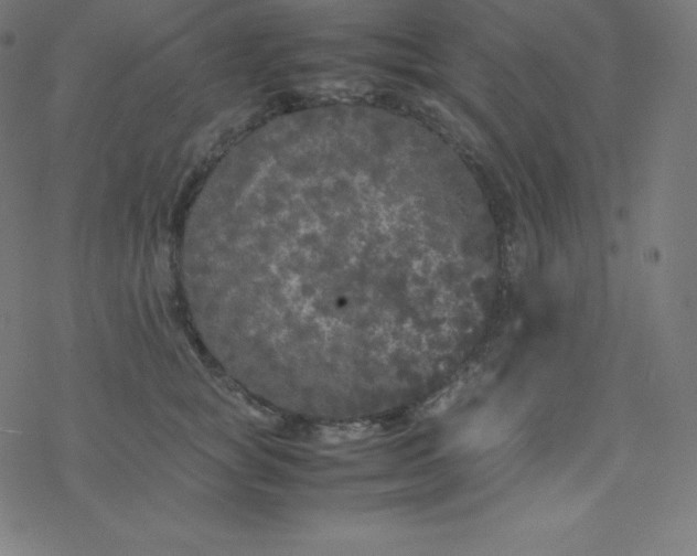 X0000077380757200611031936