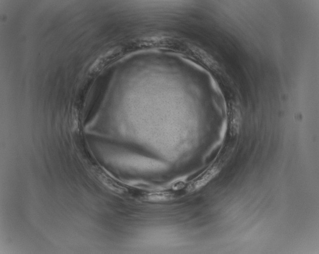 X0000077380758200611031936