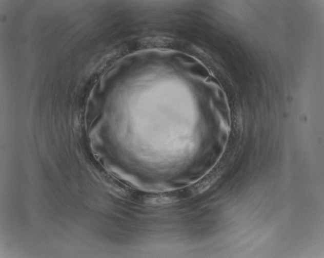 X0000077380759200611031936