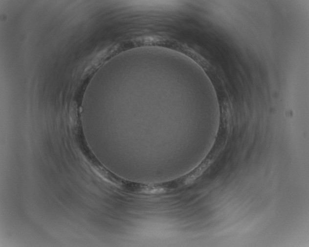 X0000077380760200611031936