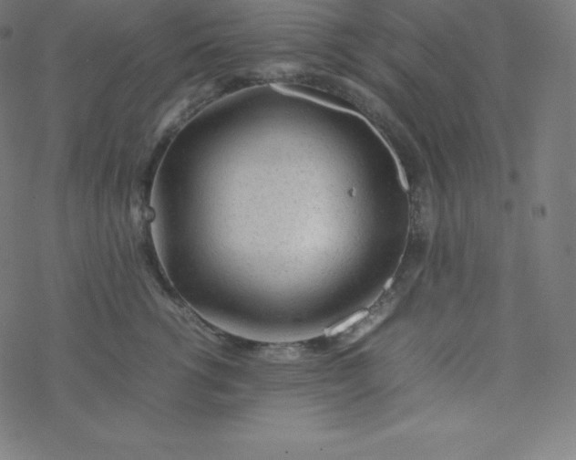 X0000077380762200611031936