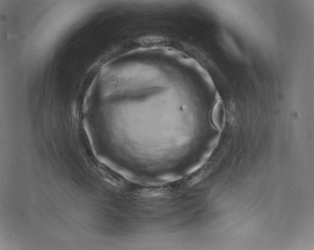 X0000077380763200611031936