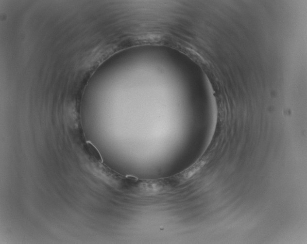 X0000077380764200611031936