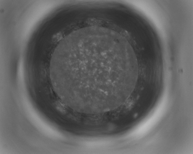 X0000077380765200611031936