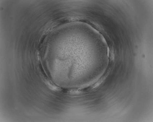 X0000077380766200611031936