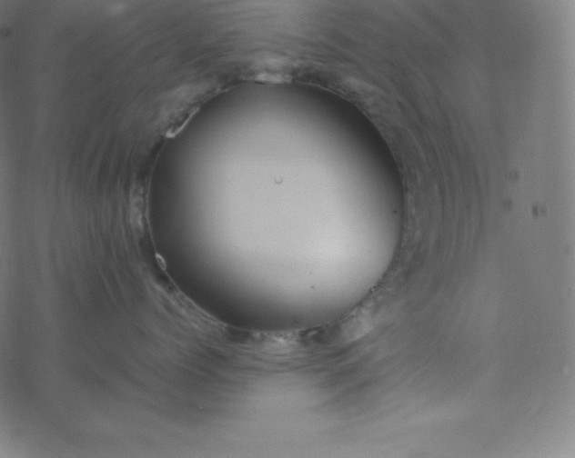 X0000077380768200611031936