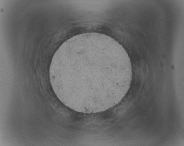 X0000077380769200611031935