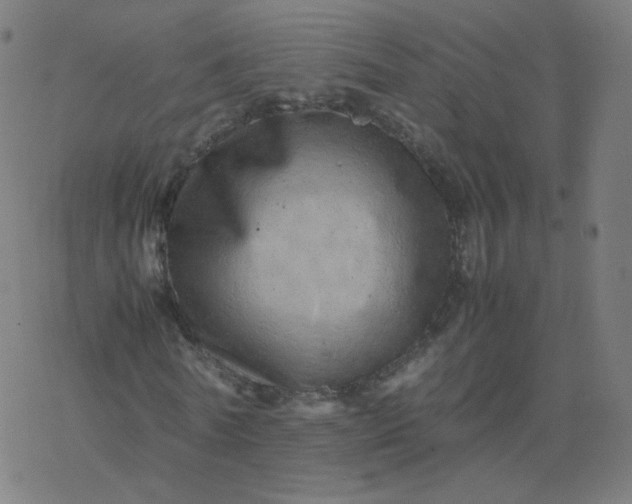 X0000077380770200611031935