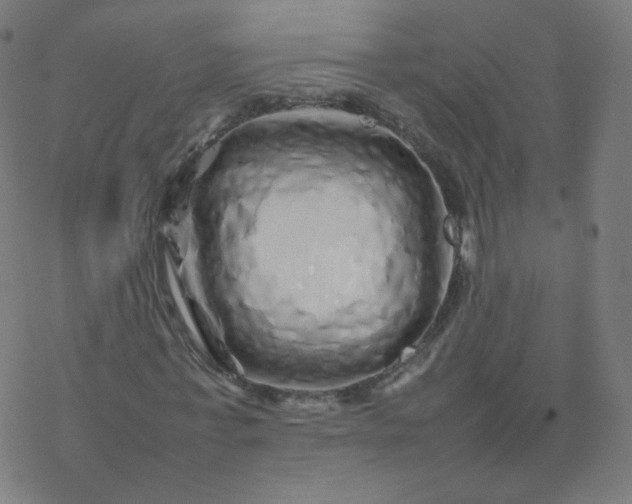 X0000077380771200611031935