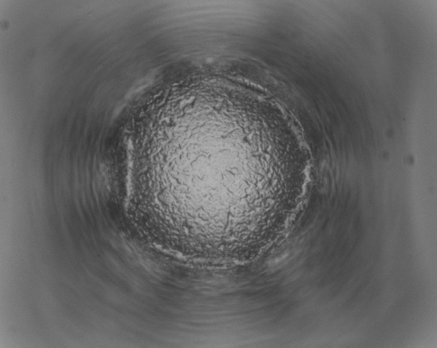 X0000077380772200611031935